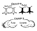 The fourth & fifth methods